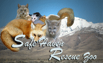 safe haven rescue